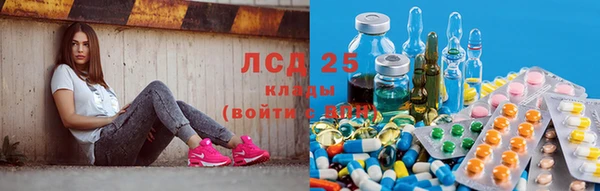 ПСИЛОЦИБИНОВЫЕ ГРИБЫ Нязепетровск