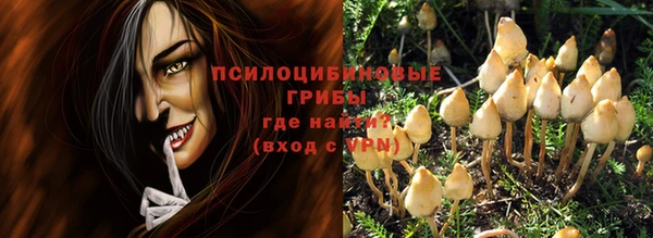 ПСИЛОЦИБИНОВЫЕ ГРИБЫ Нязепетровск