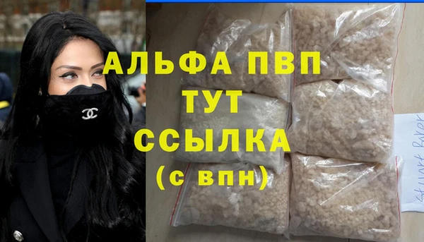 стаф Новокубанск